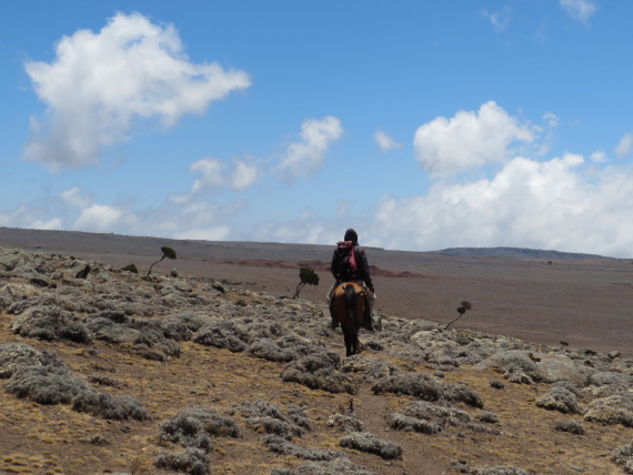 Sanetti Plateau
Vast plateau - © William Mackesy