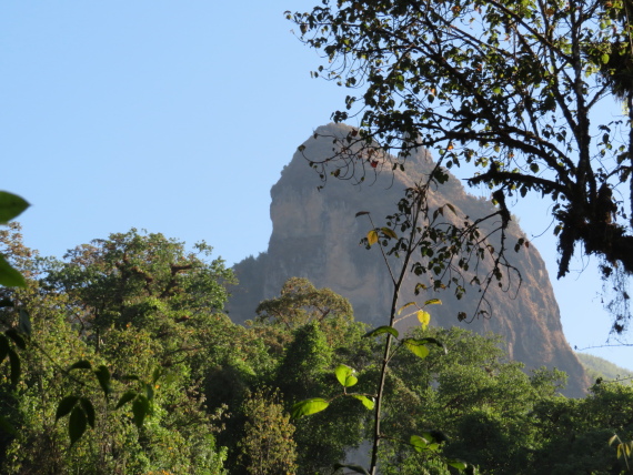 Ethiopia South Bale Mts, Harenna Forest, , Walkopedia