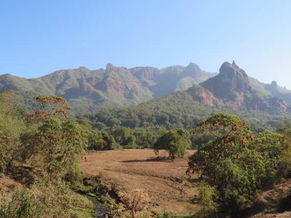 Ethiopia South Bale Mts, Harenna Forest, , Walkopedia