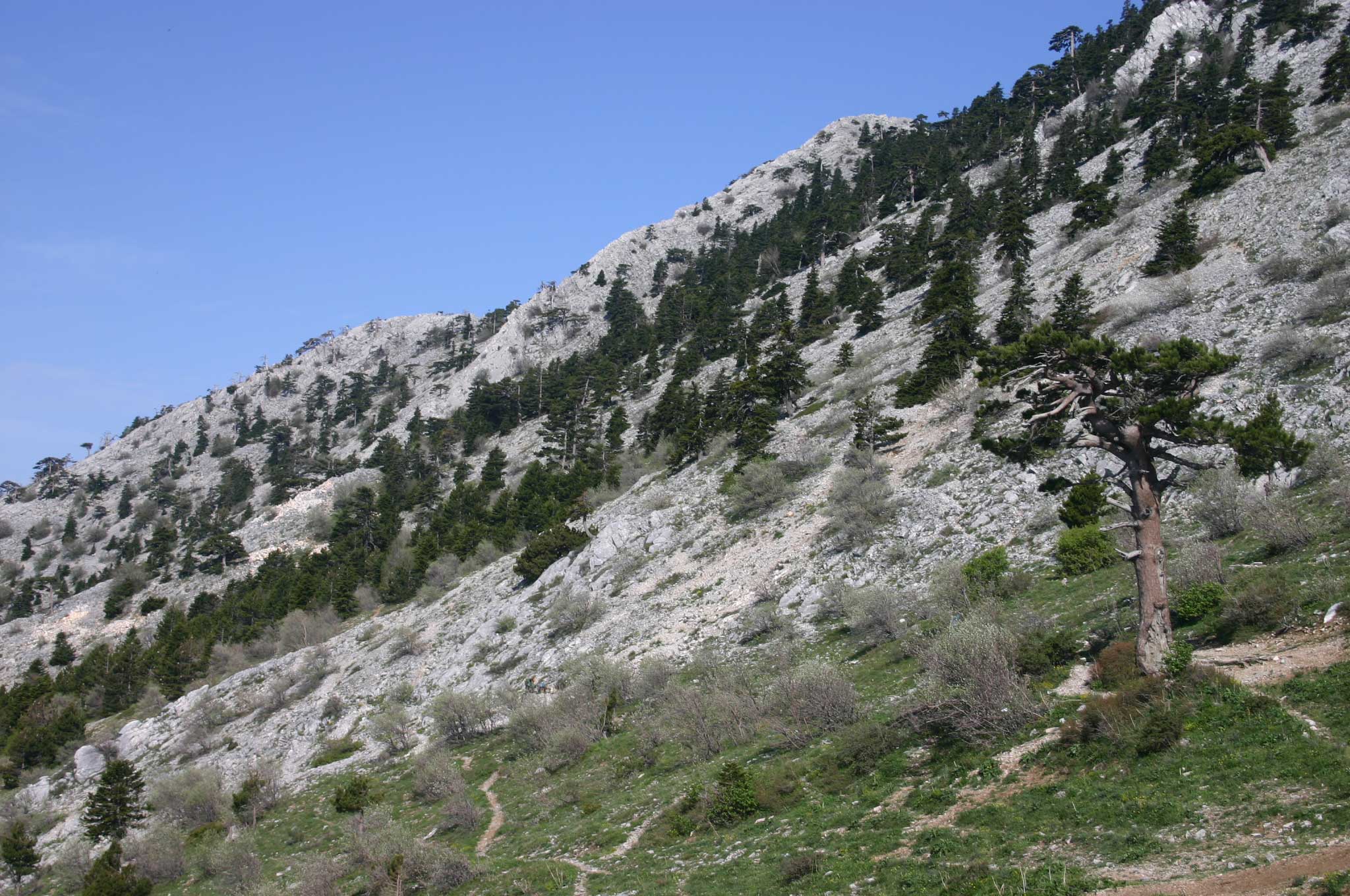 Greece, Mount Athos, Mt Athos - By Panaghias, Walkopedia