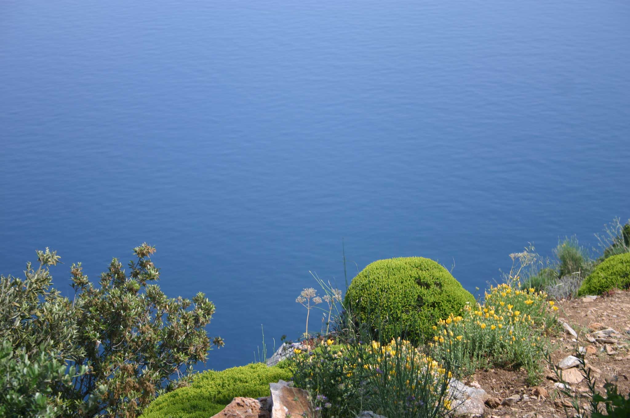 Greece, Mount Athos, Mt Athos - South coast vegetation, Walkopedia