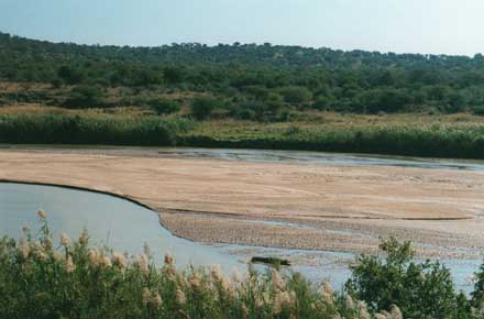 South Africa Kwazulu-Natal, Hluhluwe-Imfolozi Walking Safari, , Walkopedia