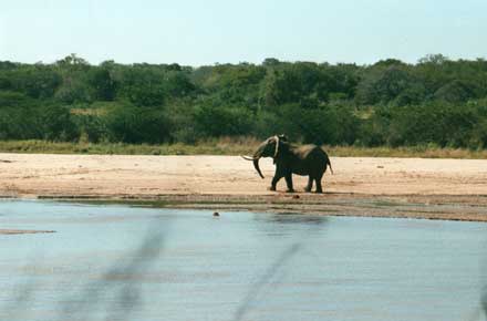 South Africa Kwazulu-Natal, Hluhluwe-Imfolozi Walking Safari, , Walkopedia