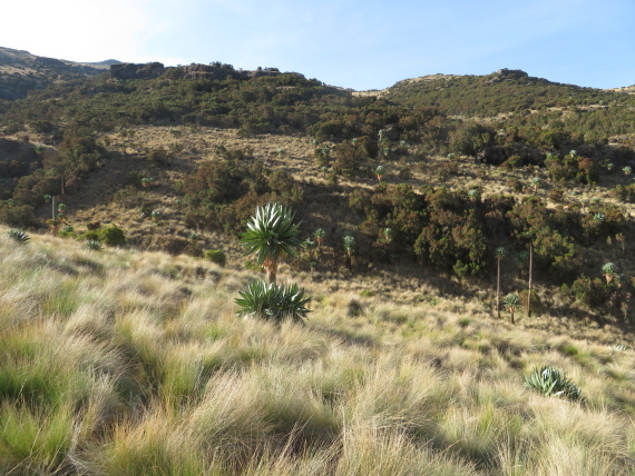 Ethiopia Simien Mts, Mt Buahit, , Walkopedia