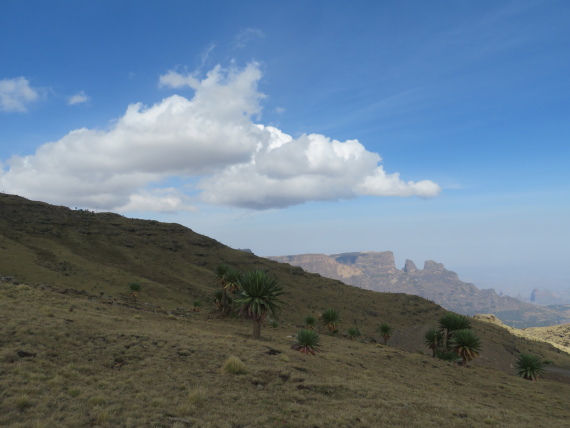 Ethiopia Simien Mts, Mt Buahit, High slopes, Walkopedia