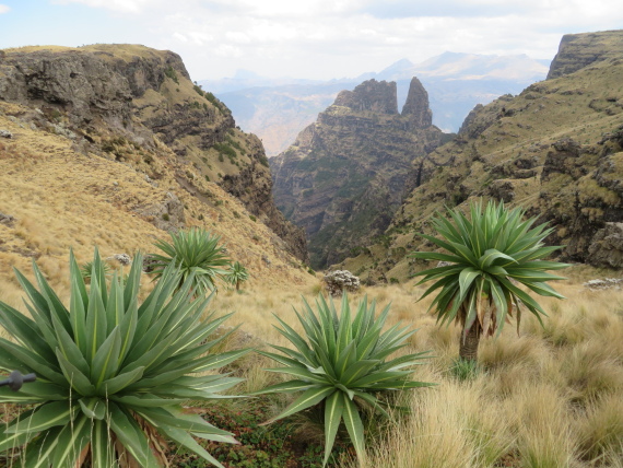 Ethiopia Simien Mts, Imet Gogo, From viewpoint on Imet Gogo ridge, Walkopedia