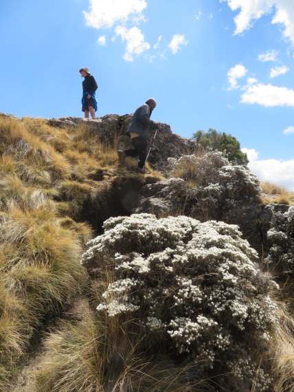 Ethiopia Simien Mts, Imet Gogo, , Walkopedia