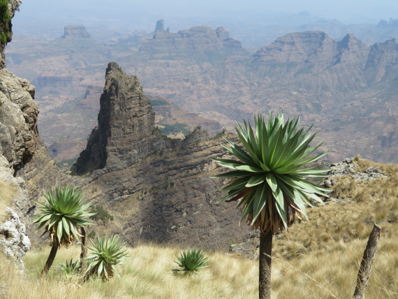 Ethiopia Simien Mts, Imet Gogo, , Walkopedia