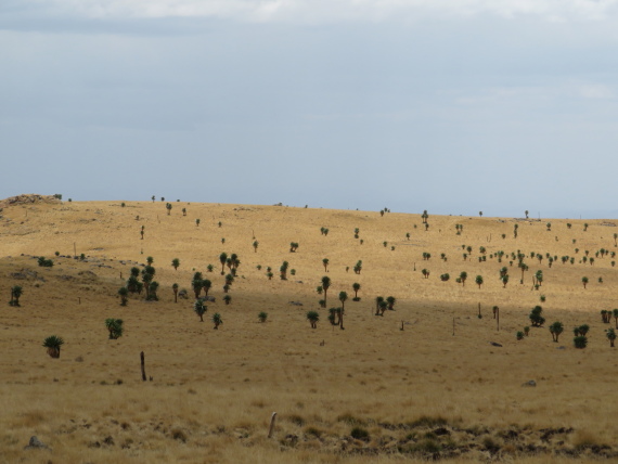 Ethiopia Simien Mts, Imet Gogo, , Walkopedia