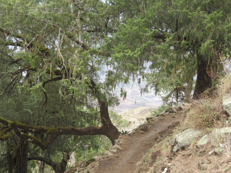 Ethiopia Lalileba Area, Ashetan Maryam, Path to fields beyond, Walkopedia