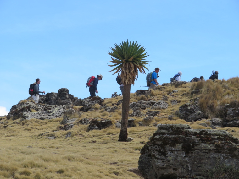 Ethiopia Simien Mts, Geech to Chenek, Long climb..., Walkopedia