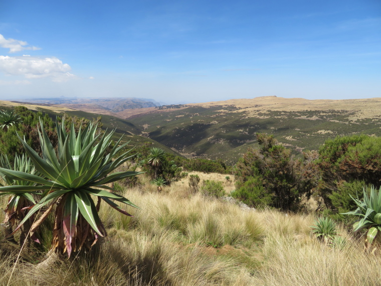 Ethiopia Simien Mts, Geech to Chenek, , Walkopedia