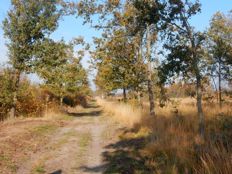 Netherlands East, Noaberpad, the old landscape, Walkopedia