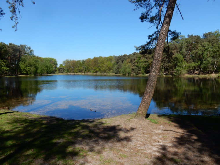 Netherlands East, Noaberpad, Lake Buurse, Walkopedia