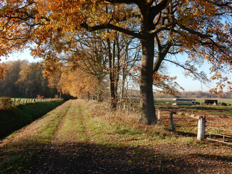 Netherlands East, Noaberpad, Noaberpad moors, Walkopedia