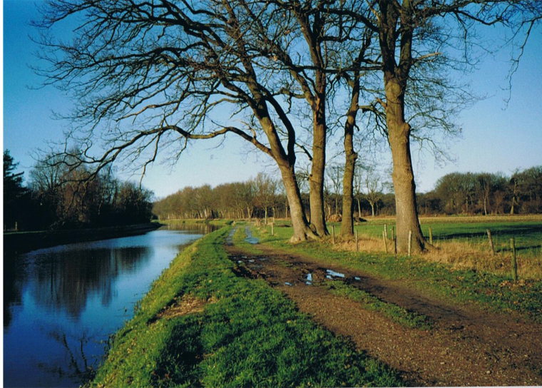 Netherlands East, Twentepad, Near Almelo, Walkopedia