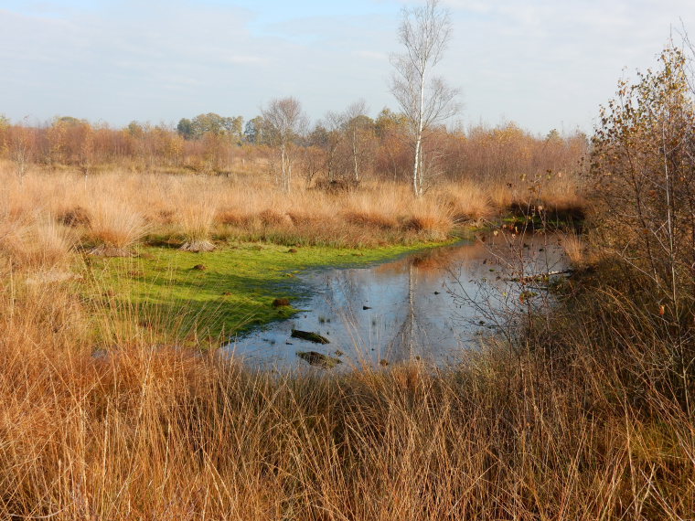 Netherlands East, Twentepad,  Peat moorland, Walkopedia