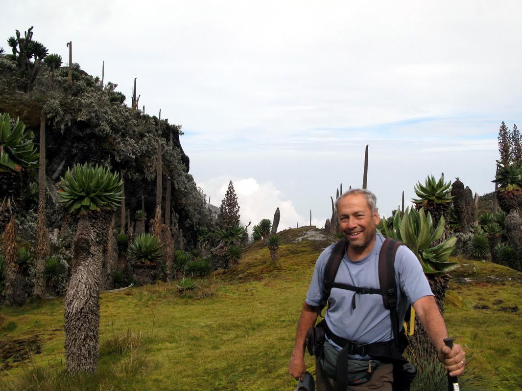 Uganda, Rwenzori Mountains, Charlie at Freshfield Pass, Congo in background , Walkopedia