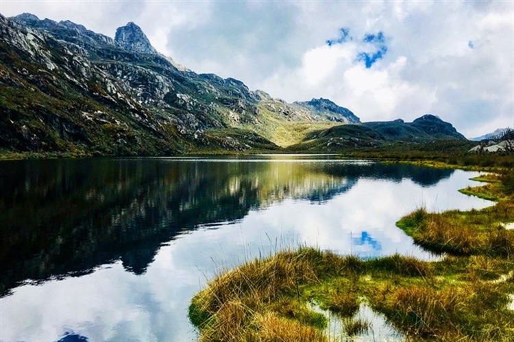 Uganda, Rwenzori Mountains, , Walkopedia