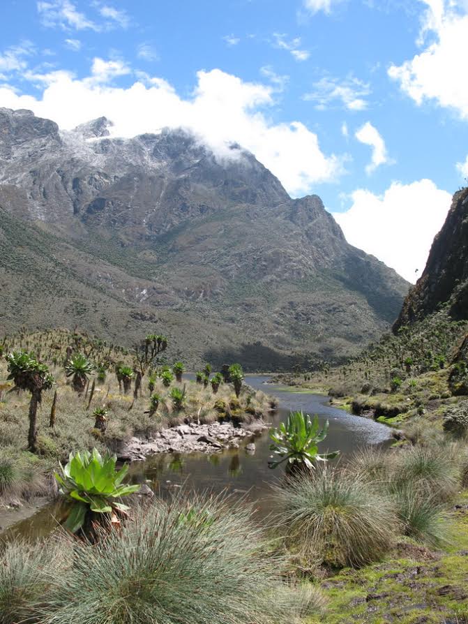 Uganda, Rwenzori Mountains, Nr Bujuku Lk-1st view of Margherita , Walkopedia