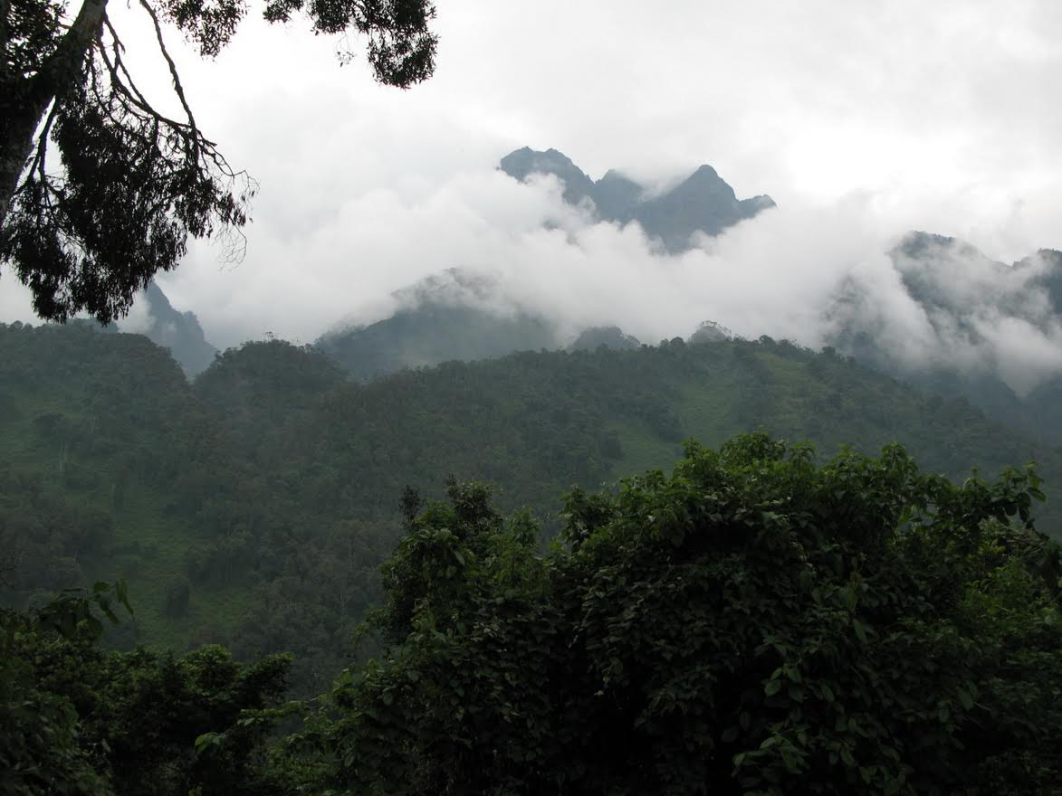 Uganda, Rwenzori Mountains, Peaks from Nyabitaba, Walkopedia