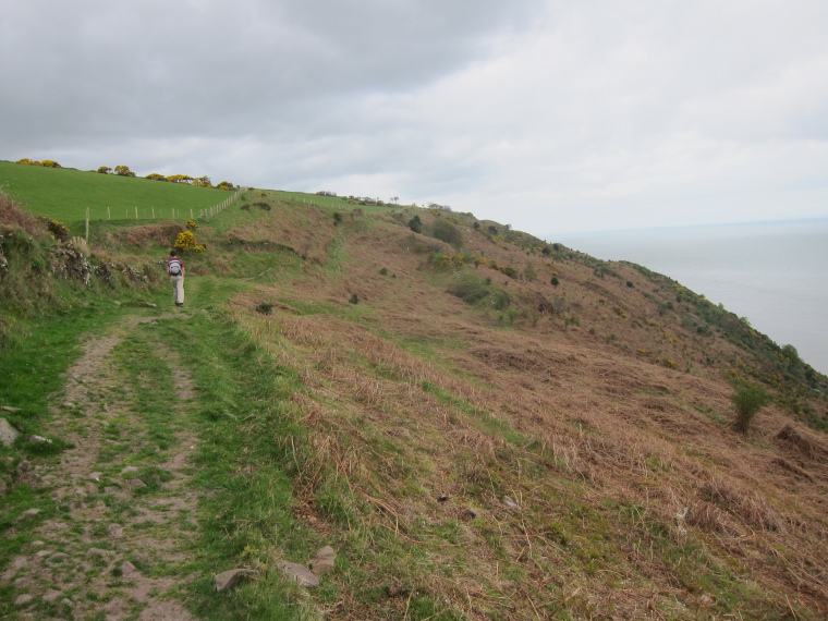 United Kingdom England South-west Exmoor, Exmoor, Coastal path west of Minehead, Walkopedia