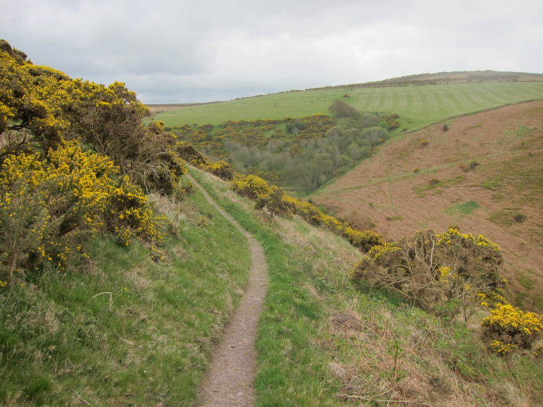 United Kingdom England South-west Exmoor, Exmoor, In hills west of Minehead, Walkopedia