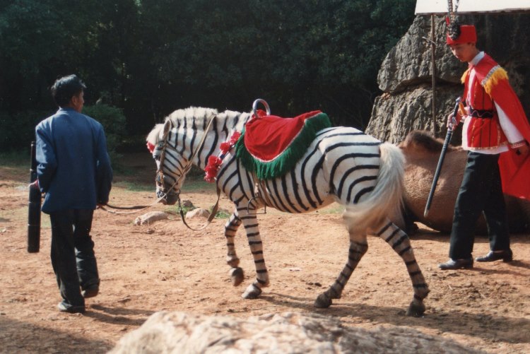 China South-west Yunnan, Stone Forest, Stone Forest - Pony painted as a zebra, Walkopedia