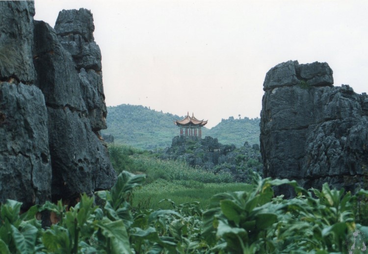 China South-west Yunnan, Stone Forest, Stone Forest, Walkopedia