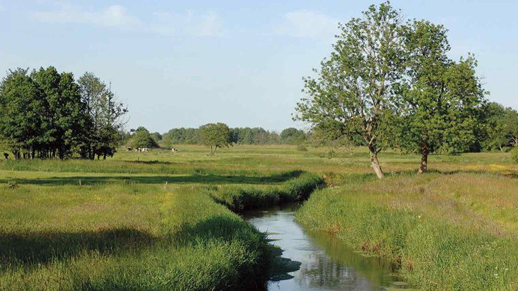 Netherlands North, Greater Friesland Path, River Aa basin, province of Drente, Walkopedia