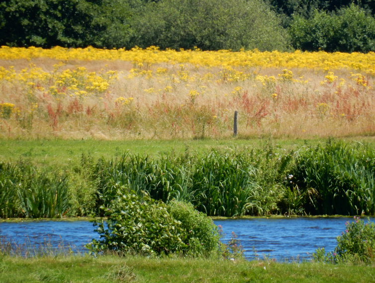 Netherlands, Vechtdalpad, the colors of the Vechtdalpad, Walkopedia