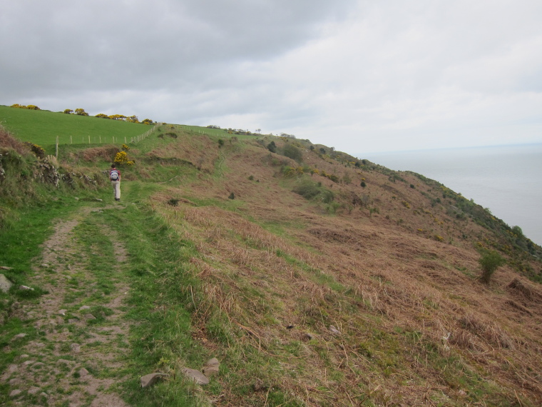 United Kingdom England South-west Exmoor, North Devon Coastal Path, West of Minehead 2, Walkopedia