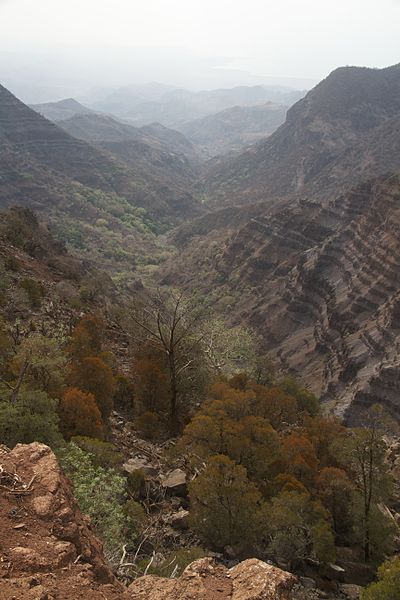 Djibouti, Goda Mountains, Goda Mountains - Foret du Day , Walkopedia