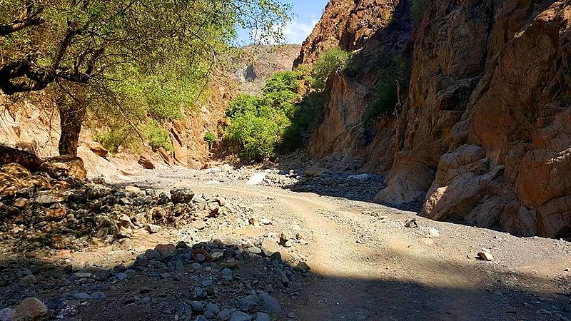 Djibouti, Goda Mountains, Valley in the Goda Mountains , Walkopedia