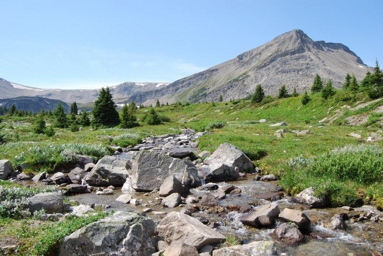 Canada Alberta: Jasper NP, Jasper NP, Skyline Trail , Walkopedia