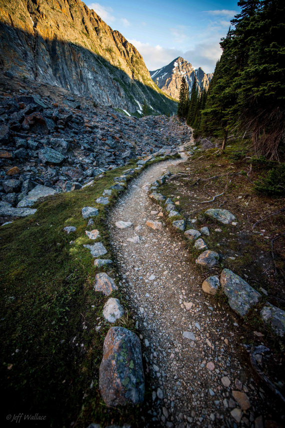 Canada Alberta: Jasper NP, Cavell Meadows and Path of Glacier Trail, Cavell Meadows Trail, Walkopedia