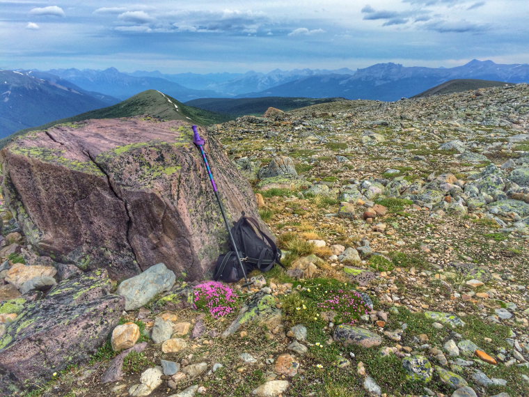 Canada Alberta: Jasper NP, Cavell Meadows and Path of Glacier Trail, Cavell Meadows 3, Walkopedia