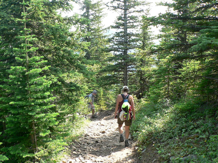 Canada Alberta: Jasper NP, Sulphur Skyline, Sulphur Skyline Trail, Walkopedia