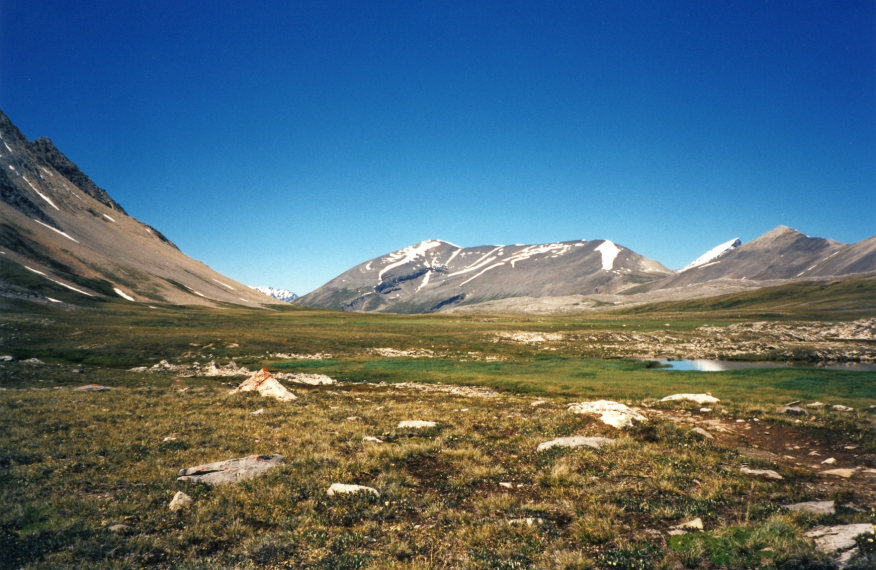 Canada Alberta: Jasper NP, Wilcox Pass, Wilcox Path Hike, up by the pass, Walkopedia