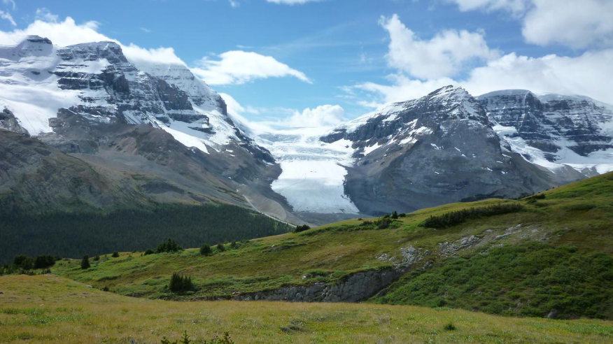 Canada Alberta: Jasper NP, Wilcox Pass, Athabasca Glacier, Walkopedia