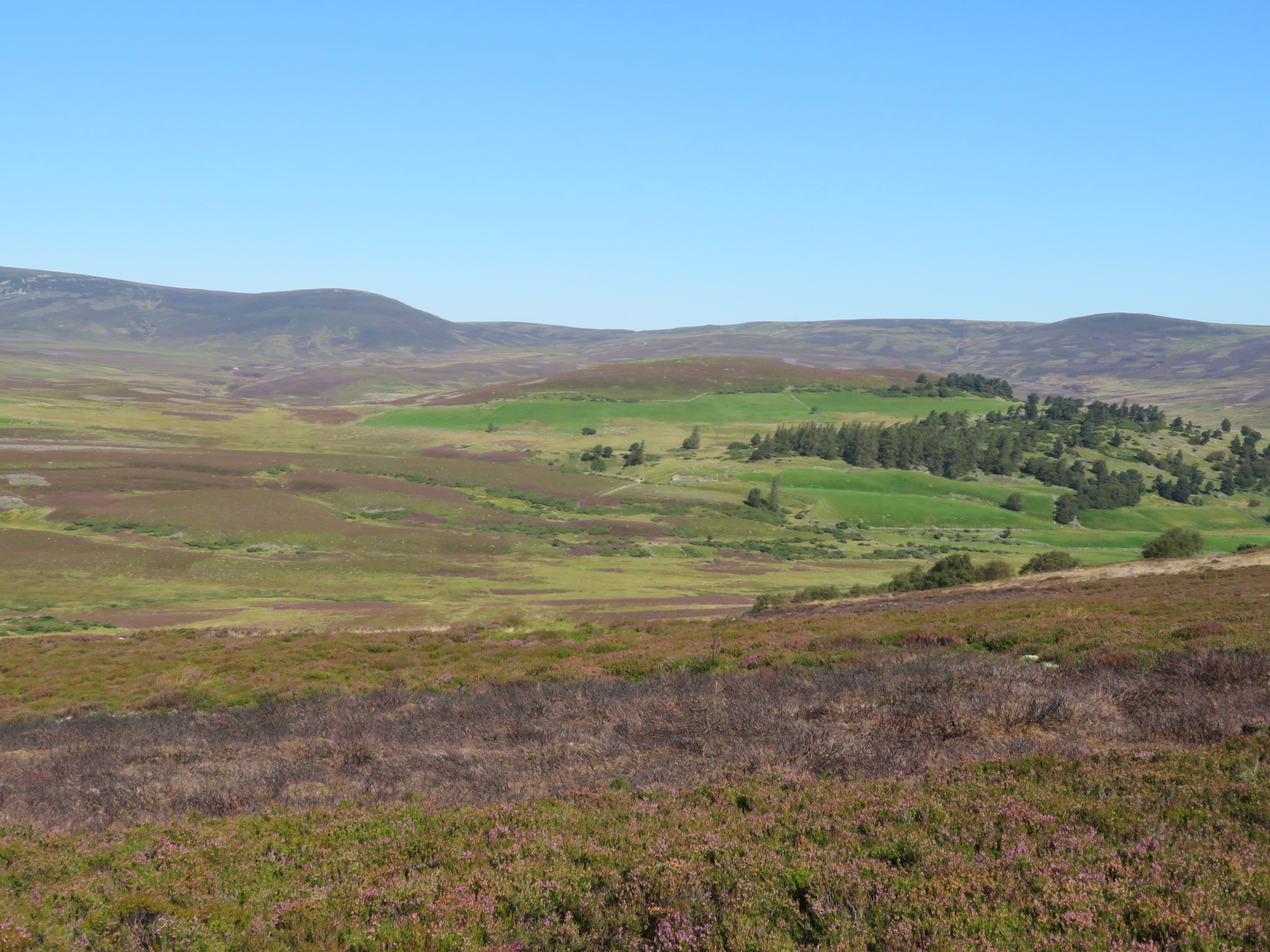 United Kingdom Scotland Cairngorms, Gellaig Ridge, Looking north across the Gairn, Walkopedia