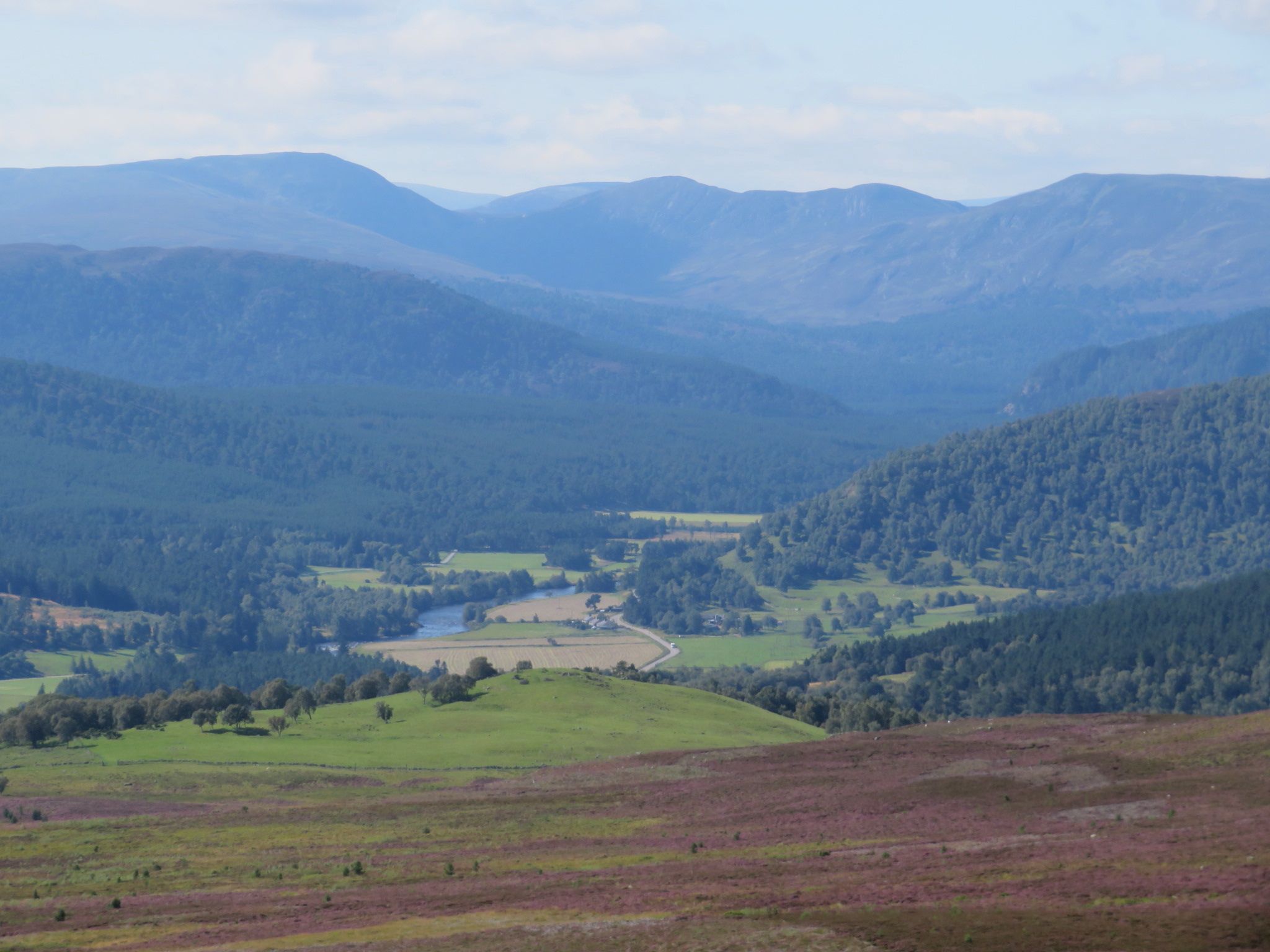 United Kingdom Scotland Cairngorms, Gellaig Ridge, West along Dee valley, Walkopedia