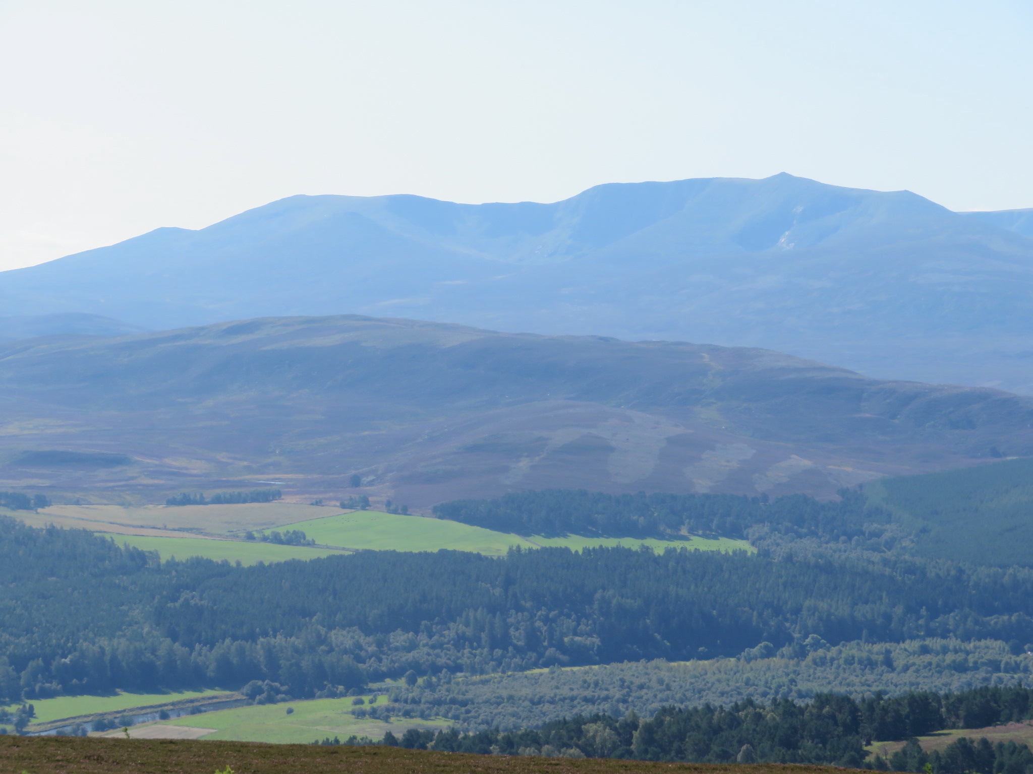 United Kingdom Scotland Cairngorms, Gellaig Ridge, South to Lochnagar , Walkopedia