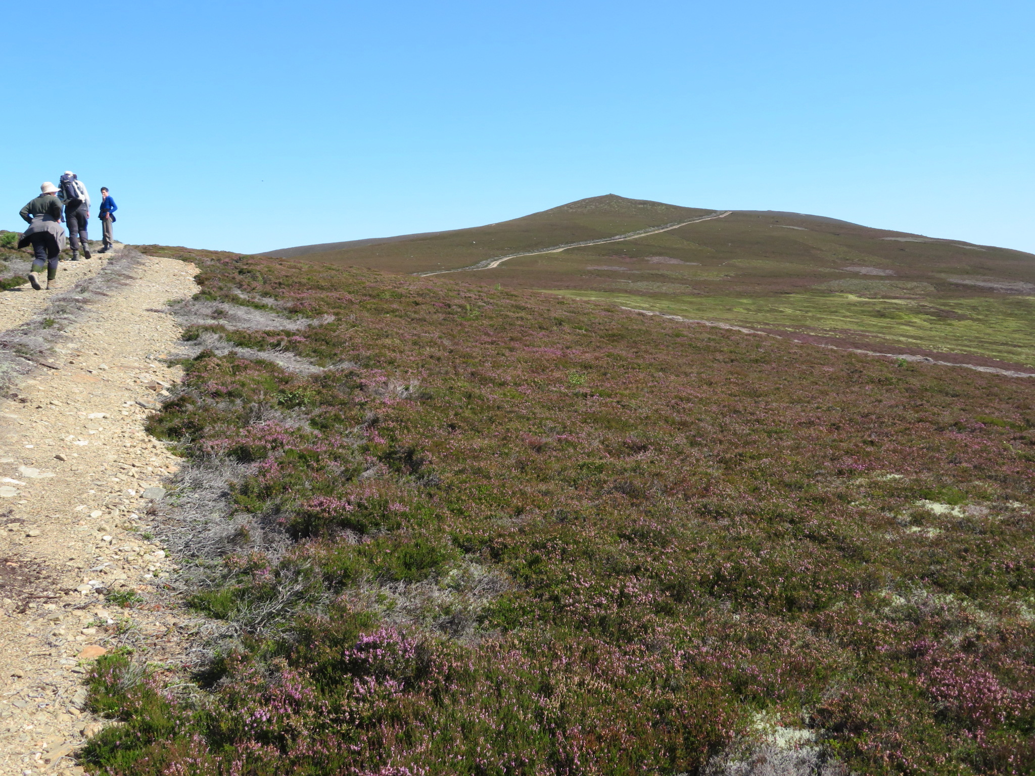 United Kingdom Scotland Cairngorms, Gellaig Ridge, The ridge, Walkopedia