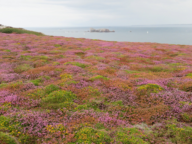 France Brittany, Crozon Peninsula, , Walkopedia