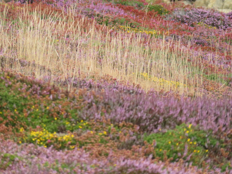 France Brittany, Crozon Peninsula, , Walkopedia