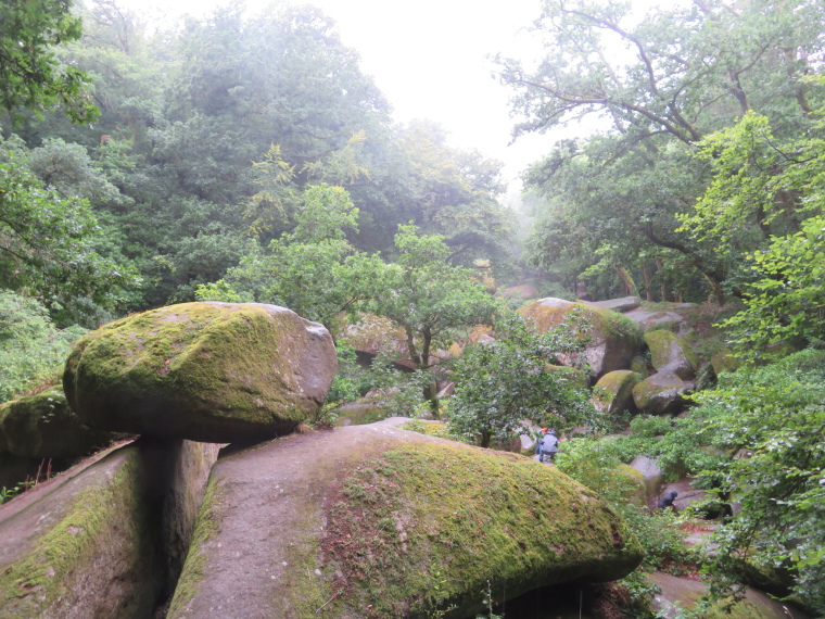 Huelgoat Forest: © William Mackesy