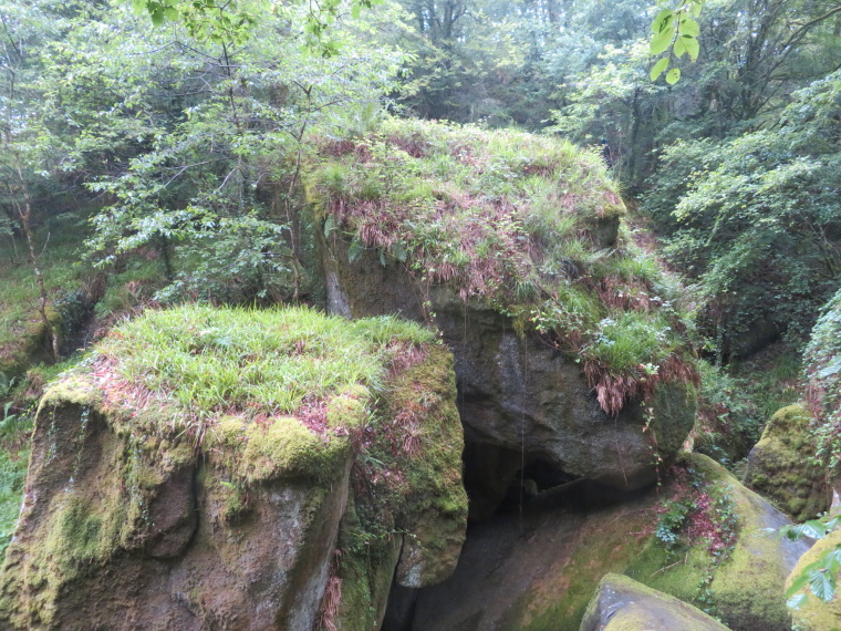 Huelgoat Forest: © William Mackesy