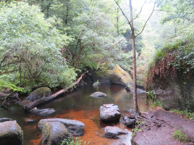 France Brittany, Huelgoat Forest, , Walkopedia