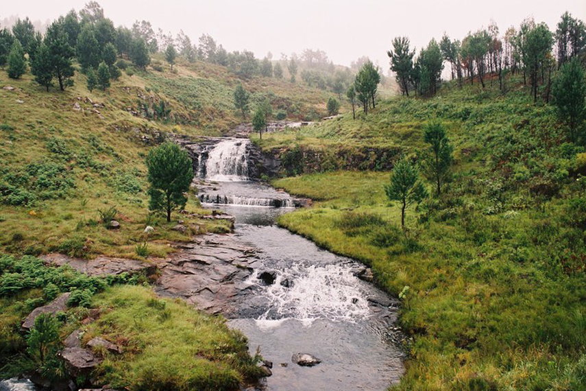 South Africa Eastern Cape, Amatola Trail, stream along Amatola Trail, Walkopedia